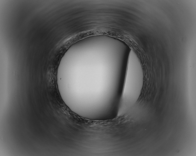 X0000086950773200704161056