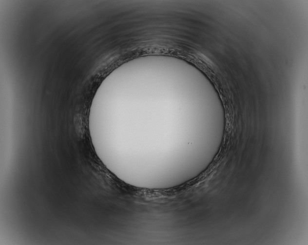 X0000086950774200704161056