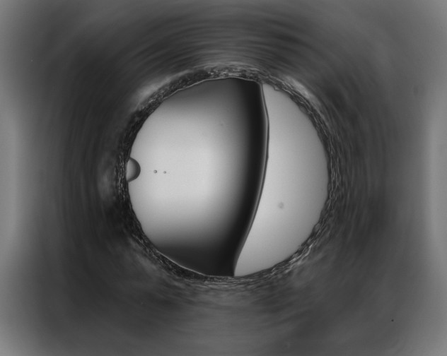 X0000086950775200704161056