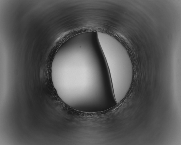 X0000086950776200704161056