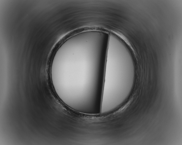 X0000086950783200704161056