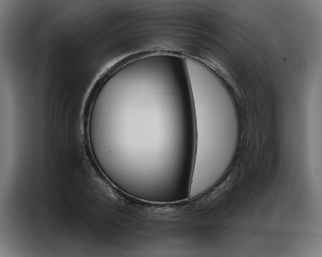 X0000086950784200704161056