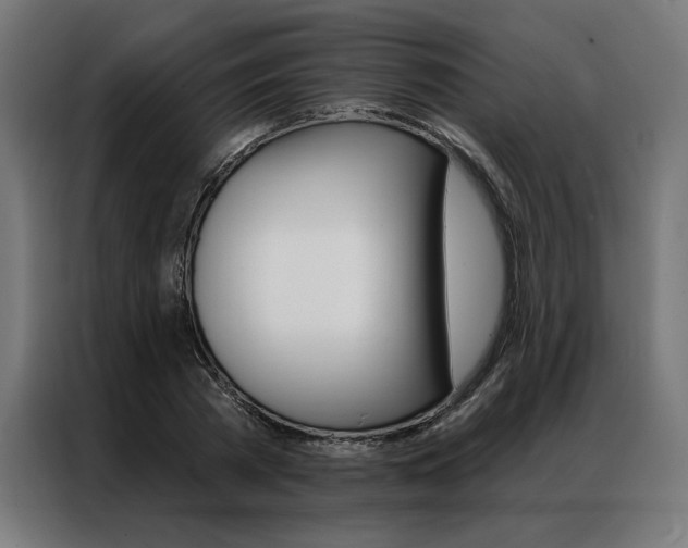 X0000086950785200704161056