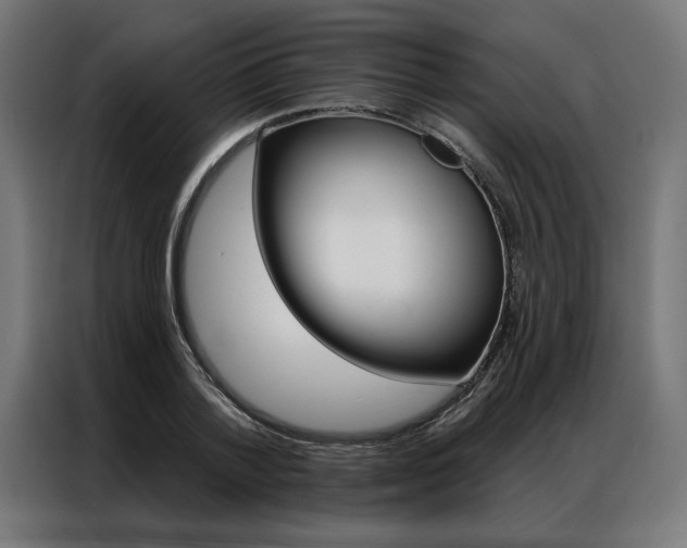 X0000086950788200704161056