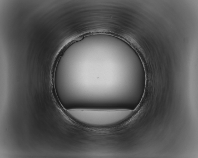 X0000086950789200704161056