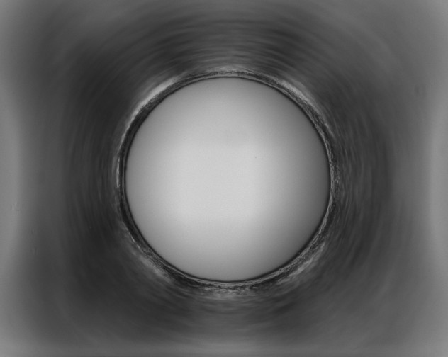 X0000086950790200704161056
