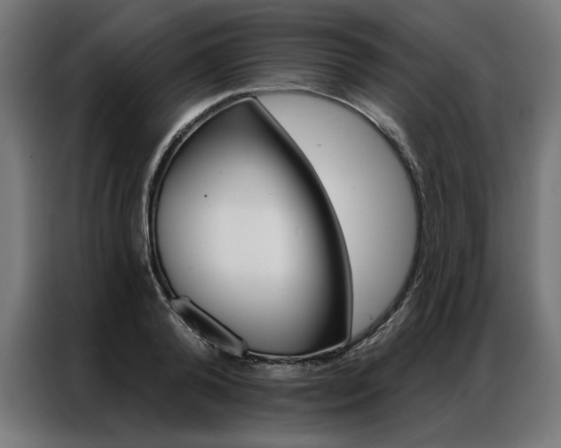 X0000086950792200704161056
