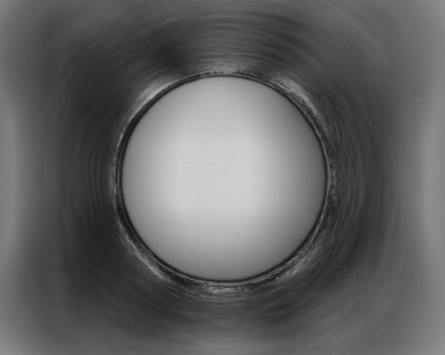 X0000086950794200704161056