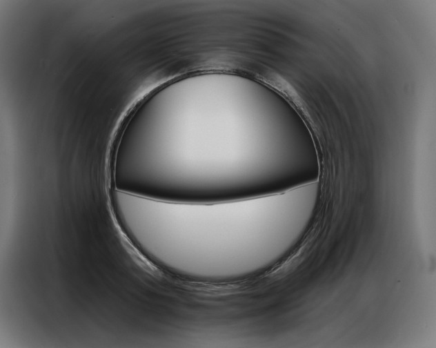 X0000086950795200704161056