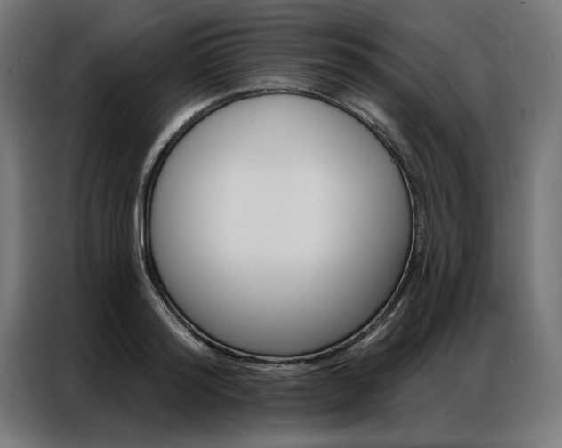 X0000086950796200704161056