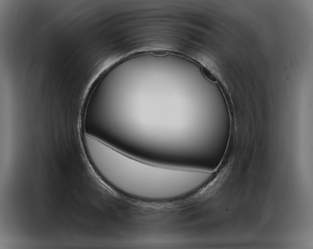 X0000086950797200704161056