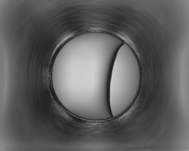 X0000086950798200704161056