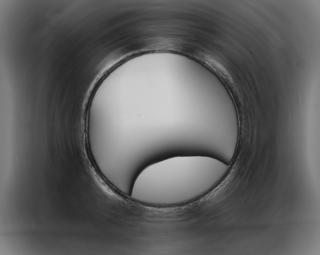 X0000086950800200704161056