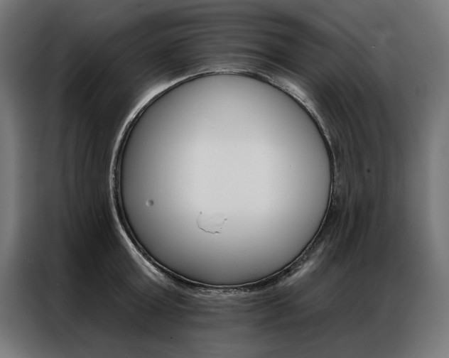 X0000086950803200704161056