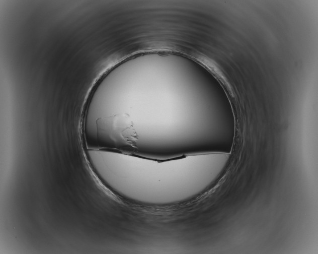X0000086950805200704161056