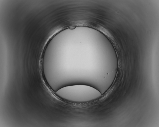 X0000086950806200704161056