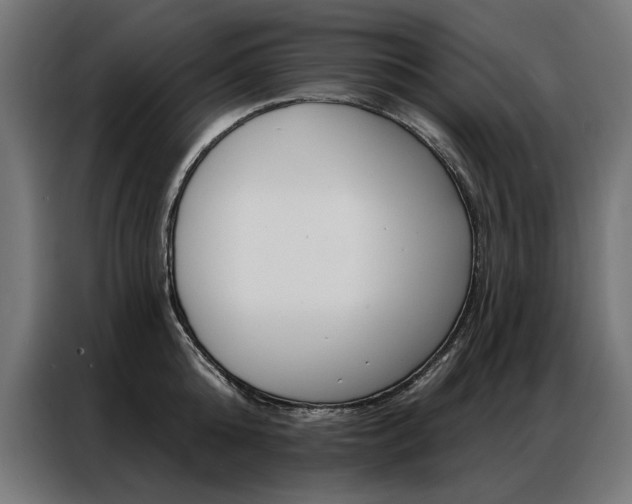 X0000086950808200704161056