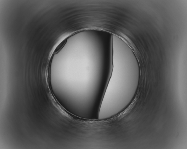 X0000086950812200704161056