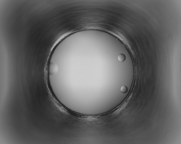 X0000086950814200704161056