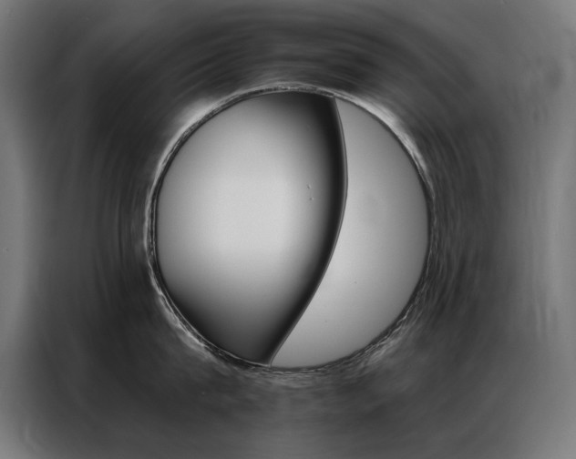 X0000086950815200704161056