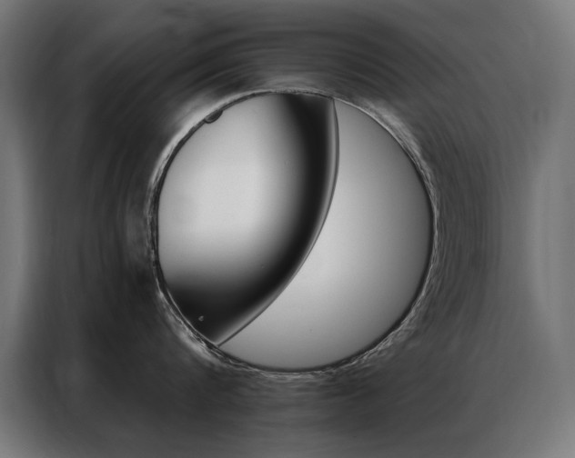 X0000086950816200704161056
