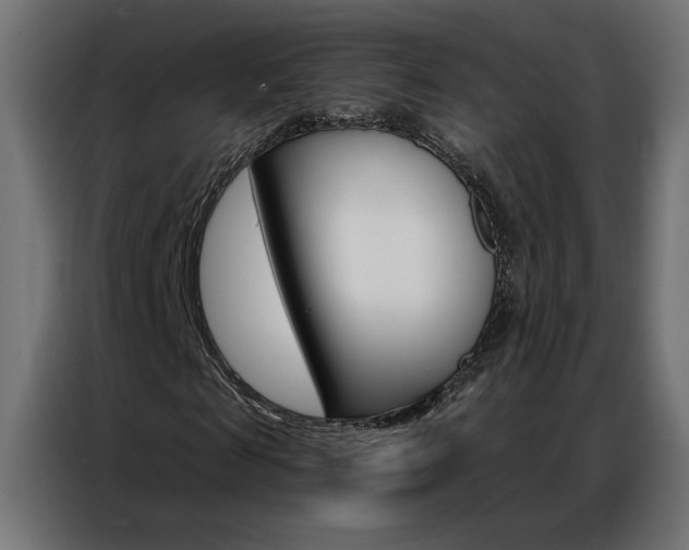 X0000086950817200704161055