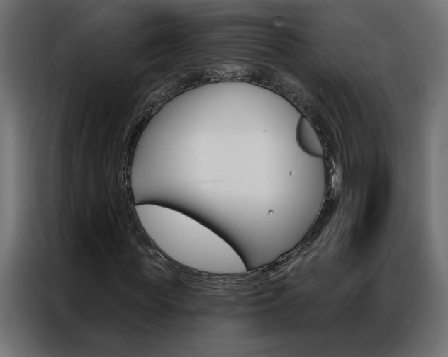 X0000086950819200704161055