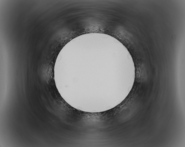 X0000086950820200704161055