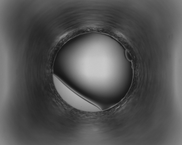 X0000086950822200704161055