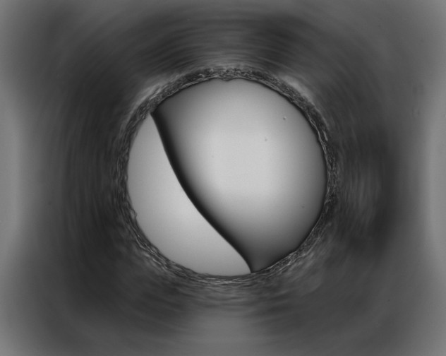 X0000086950823200704161055