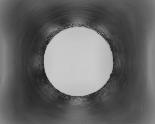 X0000086950824200704161055