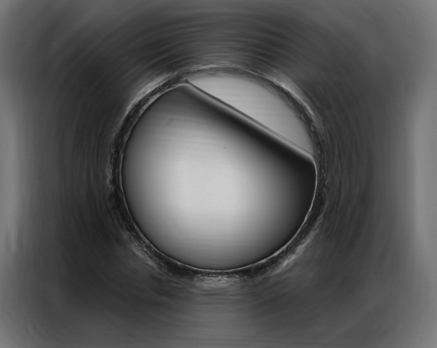 X0000086950826200704161055