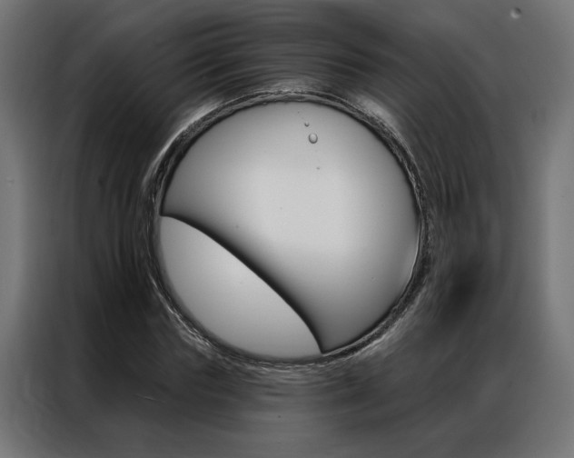 X0000086950827200704161055