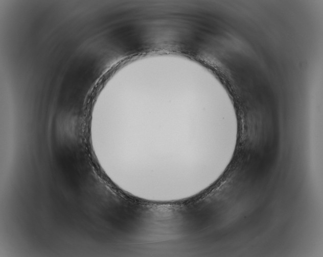 X0000086950828200704161055