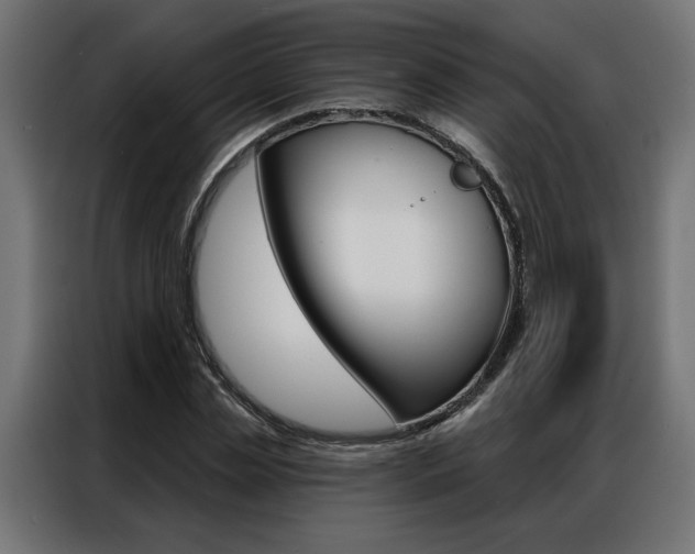 X0000086950829200704161055