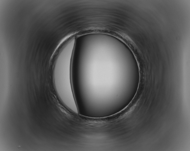 X0000086950830200704161055