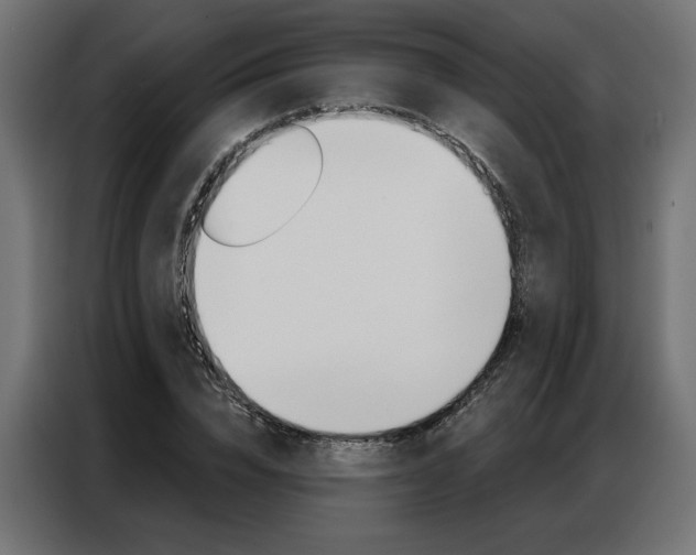 X0000086950832200704161055