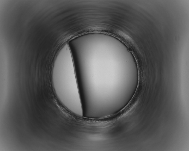 X0000086950833200704161055