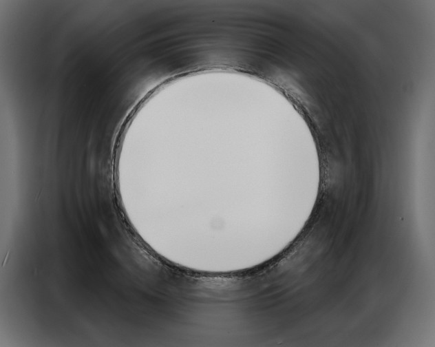 X0000086950836200704161055