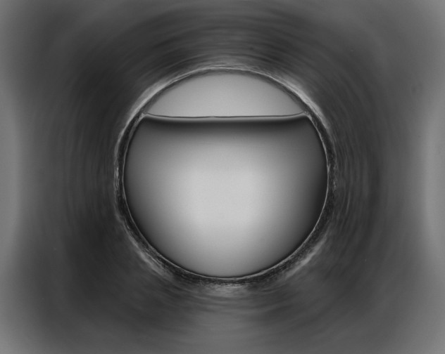 X0000086950837200704161055