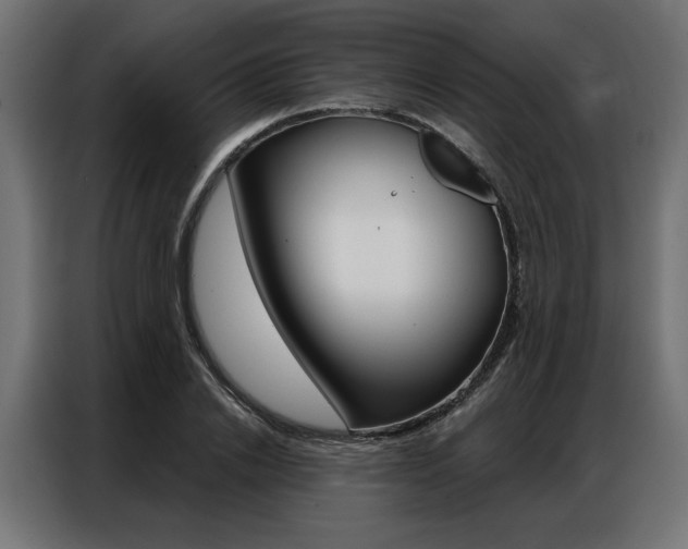 X0000086950838200704161055
