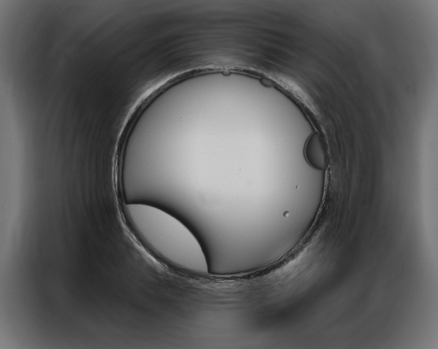 X0000086950839200704161055