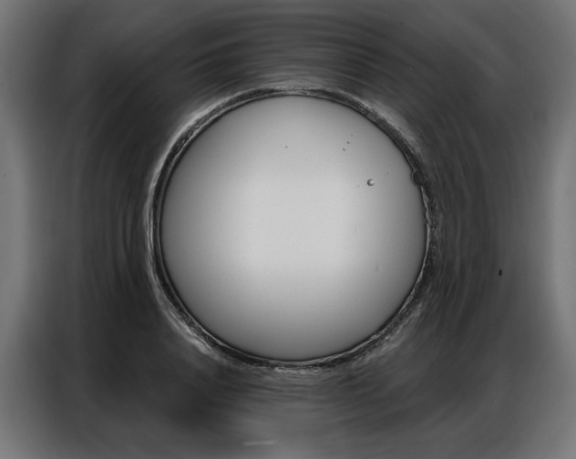 X0000086950840200704161055