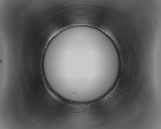X0000086950842200704161055