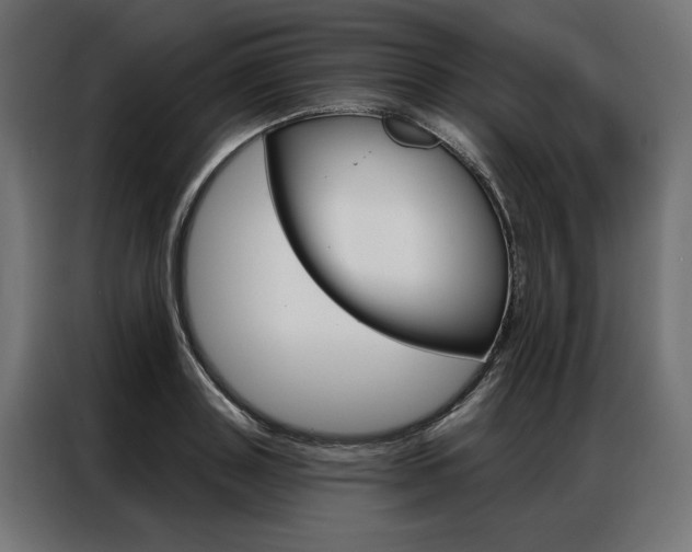 X0000086950843200704161055