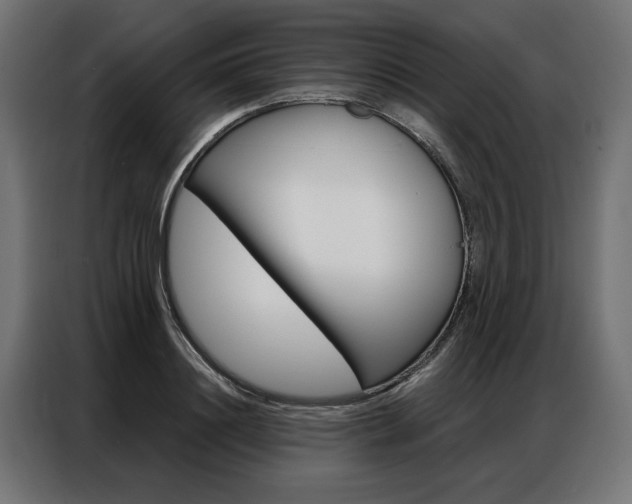 X0000086950844200704161055