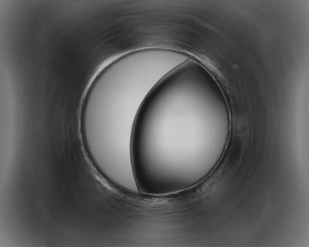 X0000086950846200704161055