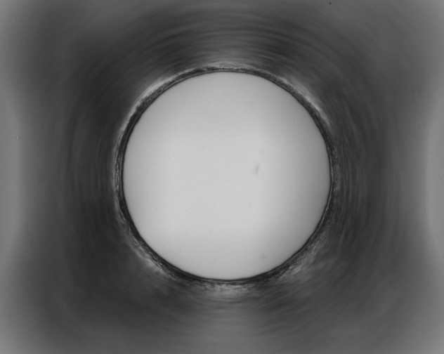 X0000086950848200704161055