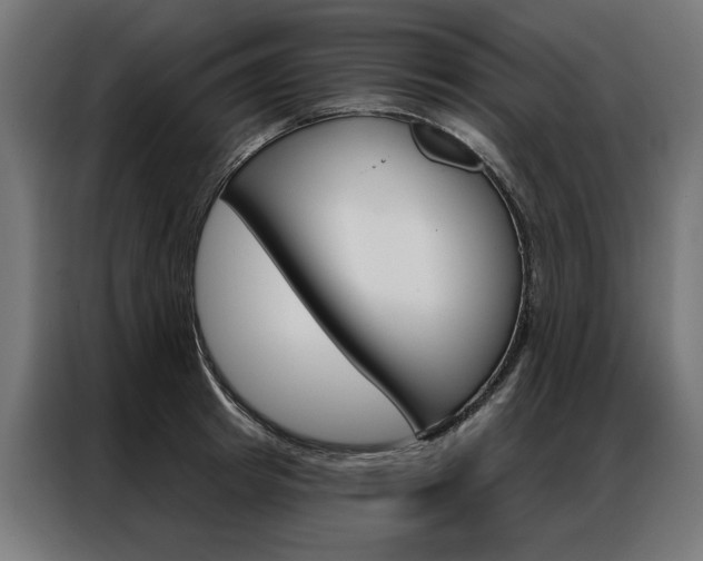 X0000086950849200704161055