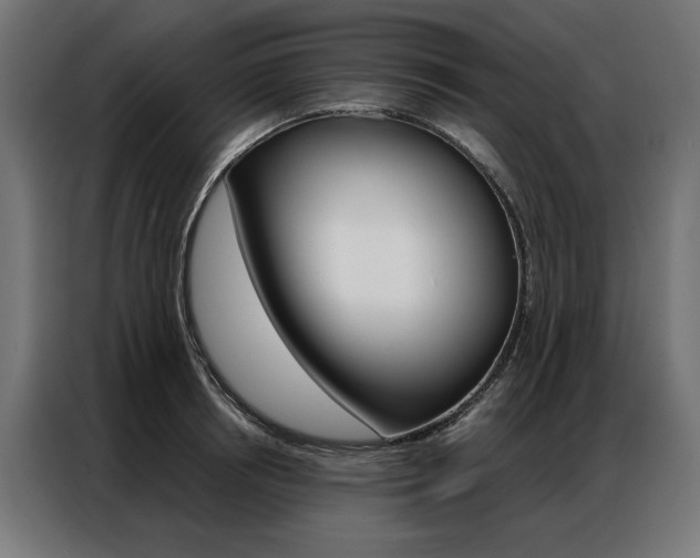 X0000086950850200704161055